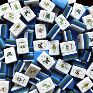Botanical Mahjong Tile Set
